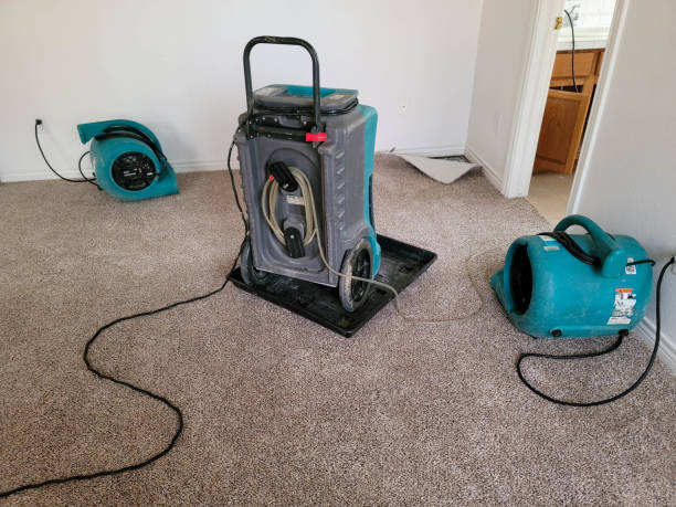 Best Ceiling water damage repair  in Atherton, CA