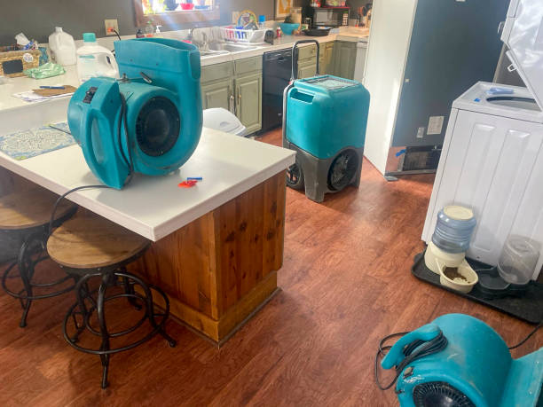 Best Water damage mitigation services  in Atherton, CA