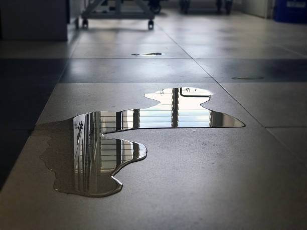 Best Water damage restoration near me  in Atherton, CA