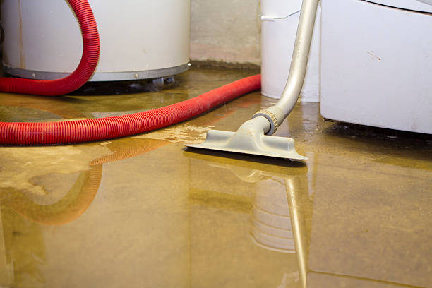Best Local water damage restoration  in Atherton, CA