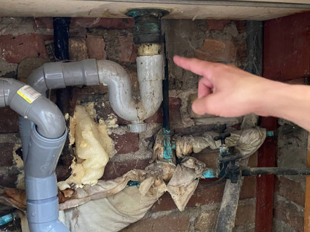 Best Mold removal after water damage  in Atherton, CA